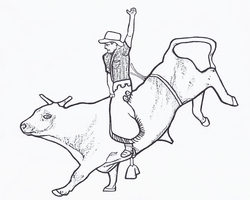 bull riding coloring page