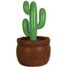cactus decoration