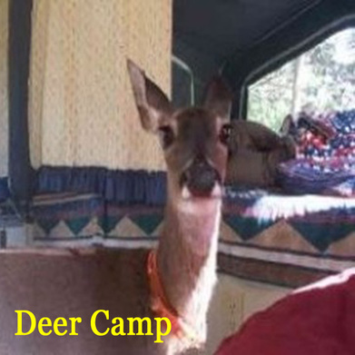 deer in camp trailer
