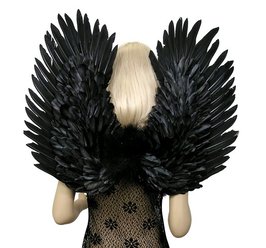 black costume wings