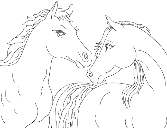 2 horses to color