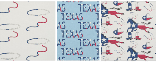 Texas fabric